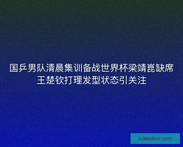 国乒男队清晨集训备战世界杯梁靖崑缺席王楚钦打理发型状态引关注